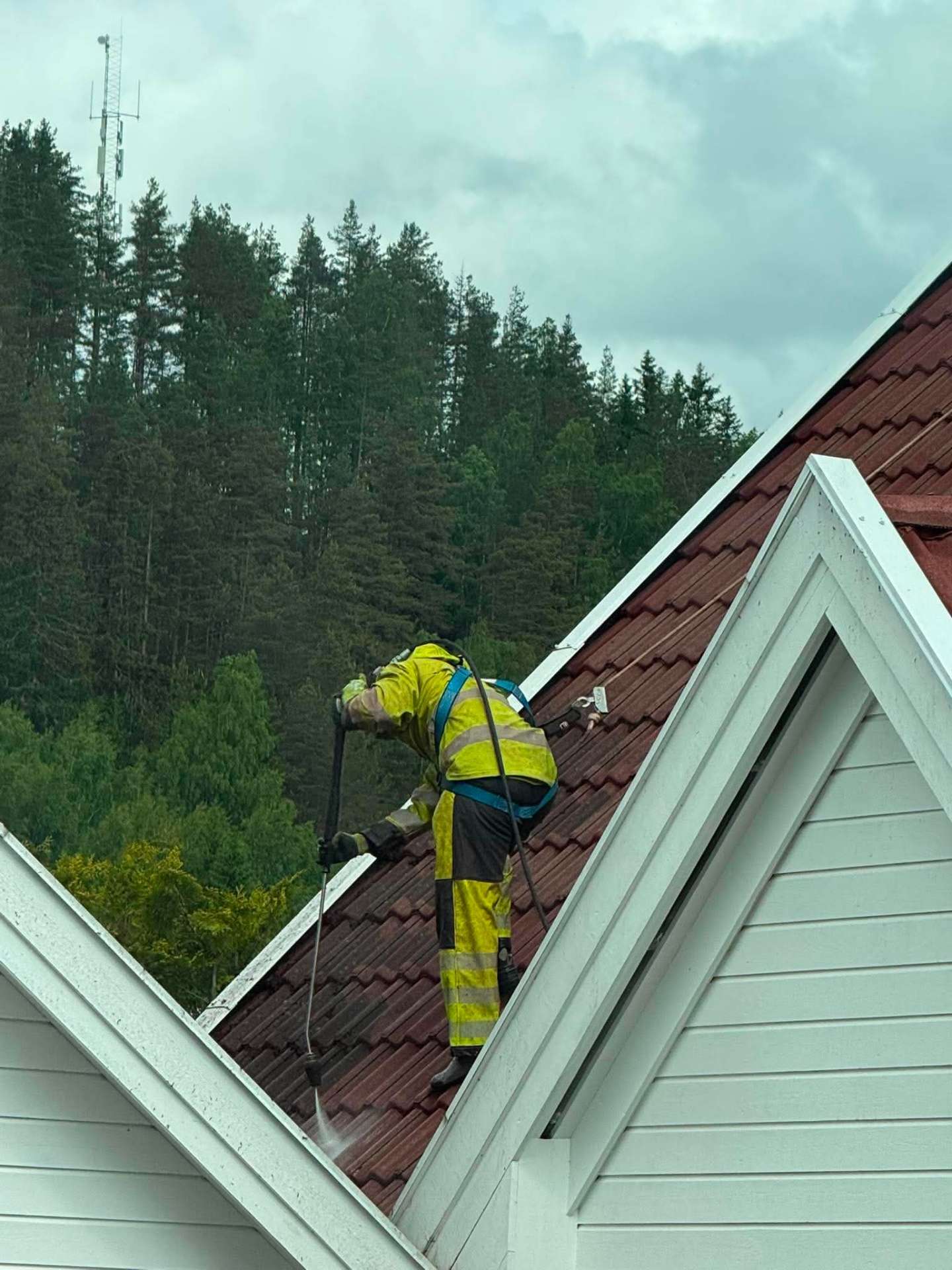 Fagperson fra M-K Renhold sikret med sele mens taket vaskes ved skogkanten